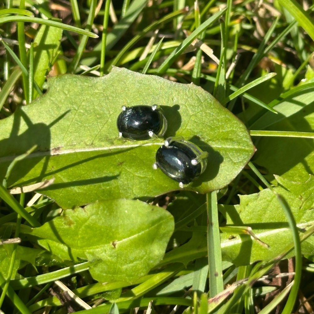 C Sterling Silver Black Star Diopside Stud Earrings